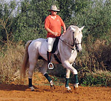 Spain-Southern Spain-Dos Olivos Dressage Clinics